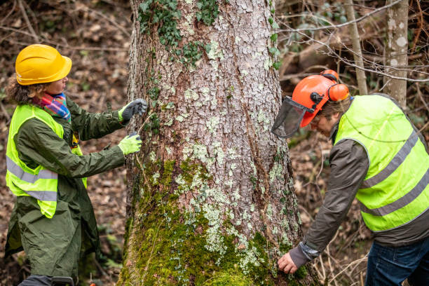 Best Seasonal Cleanup  in Kohler, WI